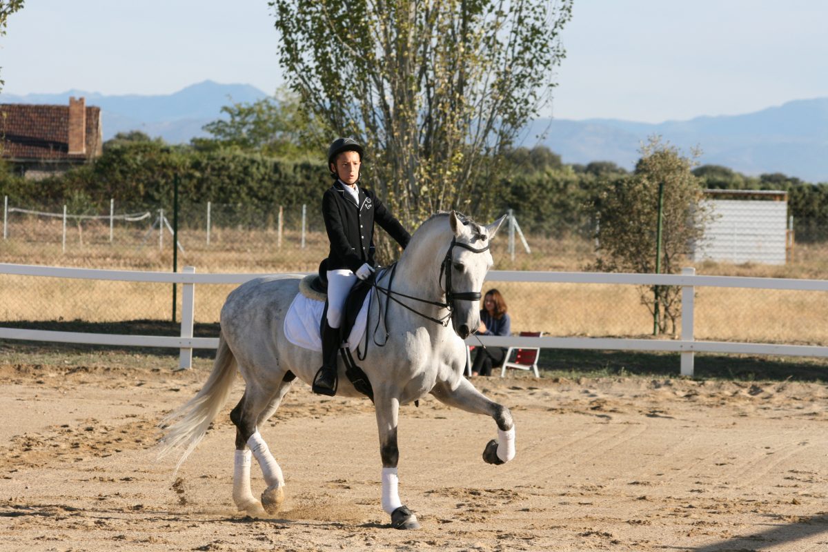 DOMA NATURAL 3. EQUILIBRIO Y LIGEREZA | Elisabeth De Corbigny | Casa Del Libro